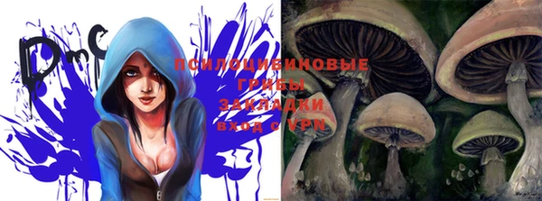 шишки Алексин