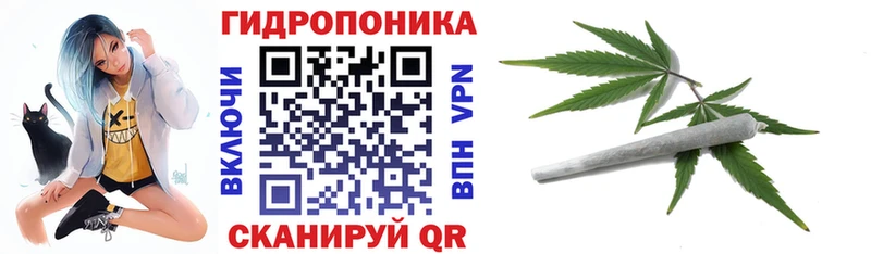 Конопля гибрид Анжеро-Судженск